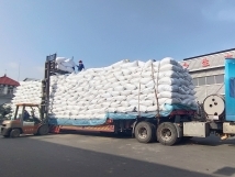 把握機(jī)遇、鉚足干勁、承勢(shì)而上